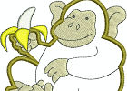 06 monkey